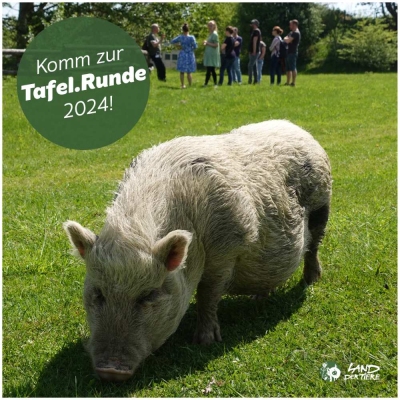 Kochen mit Tieren heißt bei uns: Tafel.Runde!