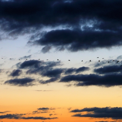 Einen Sonnenaufgang über dem Land der Tiere