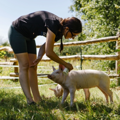 Ein Mensch beugt sich vor und cremt ein kleines Schwein mit Sonnencreme ein. Sie sind umgeben von grünen Wiesen, Sträuchern und Bäumen.