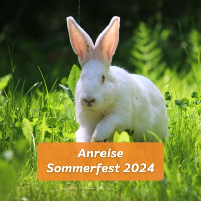 Ein weißes Kaninchen von Einstein & Friends hüpft über eine Wiese in Richtung der Kamera. Darunter ist der Text „Anreise Sommerfest 2024“ vor einem orangem Hintergrund.