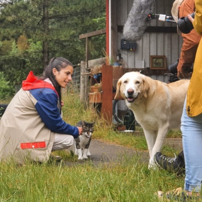 Dreharbeiten im Land der Tiere mit dem Team von Dokness für die ARD Märchenreise