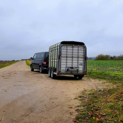 Ein Auto mit einem Tieranhänger an einem Feldrand