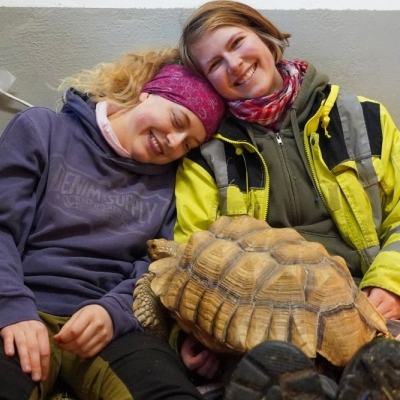 Schildkröte Mali sitzt auf dem Schoss von den ehemaligen Bundesfreiwilligen Lotta & Maleika, die sich aneinander lehnen