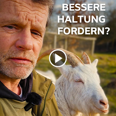 Warum wir uns nicht für Forderungen wie "mehr Platz für Schweine" einsetzen und diese sogar kritisch sehen, erklärt Jürgen im Video.
