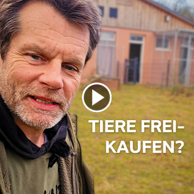 Warum wir das Freikaufen von Tieren kritisch sehen erklärt Jürgen im Video.