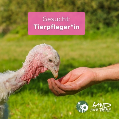 Stellenangebot: Tierpfleger*in