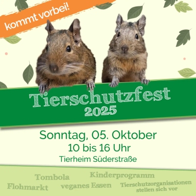 Zwei Degus. Dazu der Text "Kommt vorbei!", "Tierschutzfest 2025", "Sonntag 05. Oktober, 10 bis 16 Uhr, Tierheim Süderstraße", "Tombola, Flohmarkt, veganes Essen, Kinderprogramm, Tierschutzorganisationen stellen sich vor"