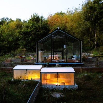 Mehrere kleine und große Gewächshäuser im Land der Tiere, die von Schildkröten bewohnt werden.