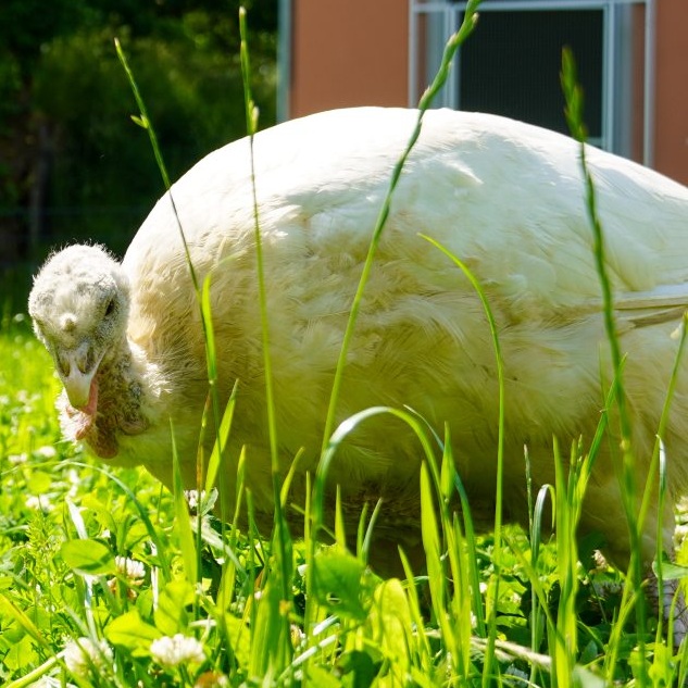 Patenschaft für Amelie abschließen