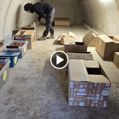 Adventskalender 2025: Die Landschildkröten im Winterschlaf