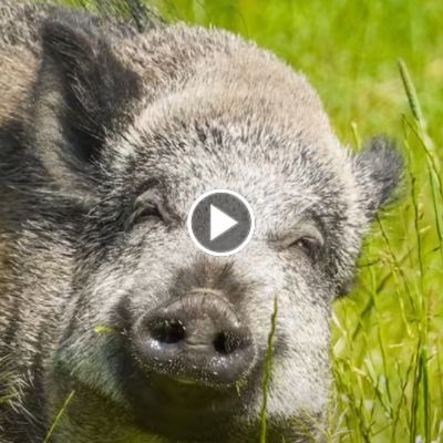 Jahresrückblick 2025