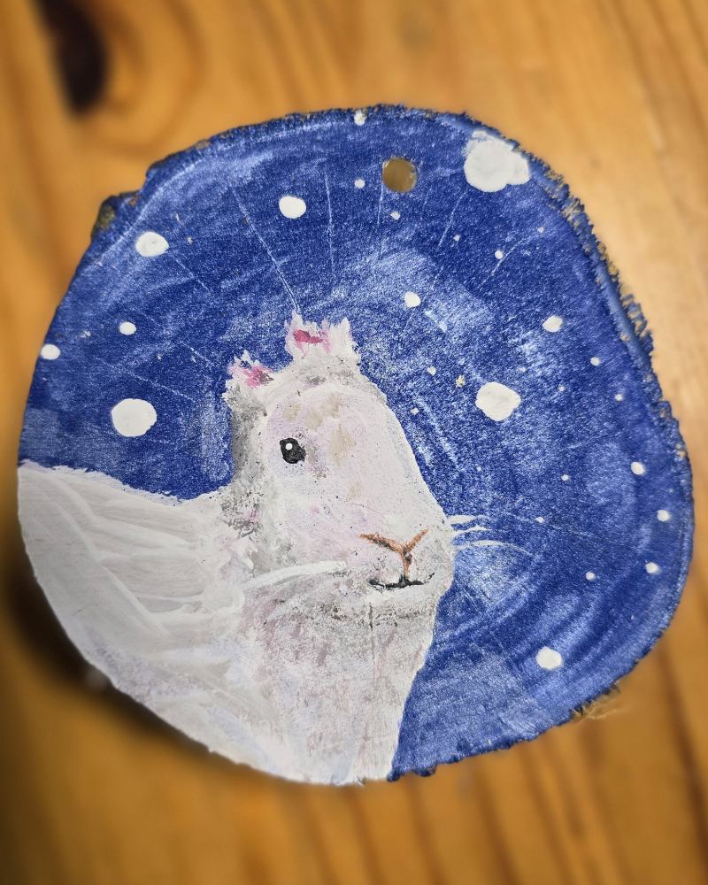 Eine bemalte Deko-Holzscheibe mit einem weißen Kaninchen ohne Ohren, dem Kaninchen Einstein aus dem Land der Tiere