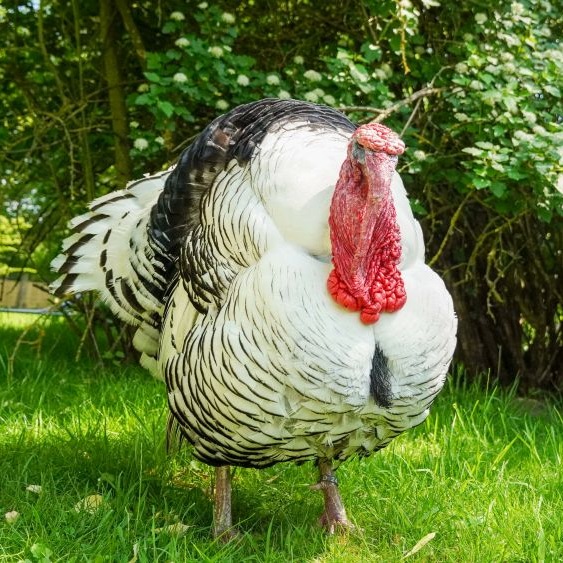 Patenschaft für Justus abschließen