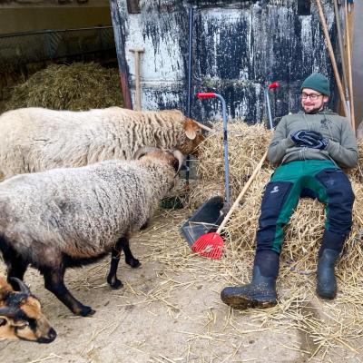 Mensch Bene sitzt auf einem Heuballen. Daneben die Schafe Valentina und Toto.