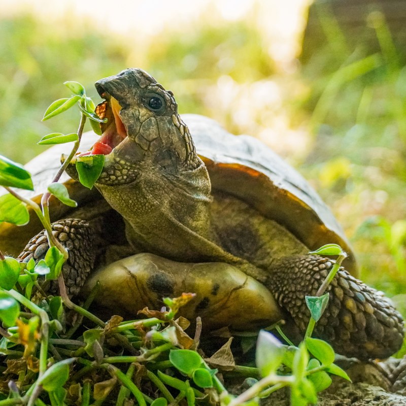 Patenschaft für Olga abschließen