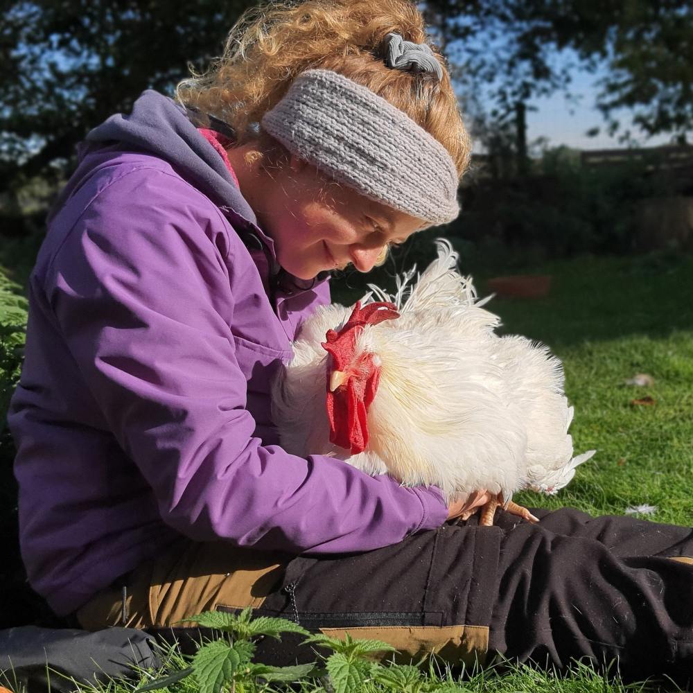 Ein Mensch mit einem "Masthuhn" auf dem Schoß sitzt im Gras