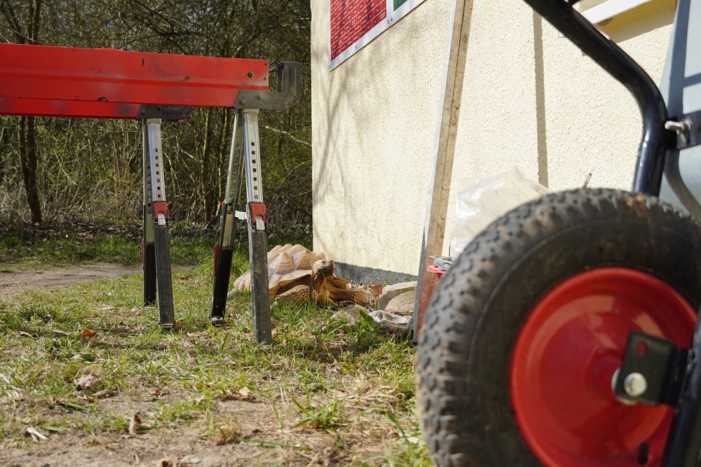 Spornschildkröte Sahel auf einer Baustelle umgeben von Bauequipment im Land der Tiere