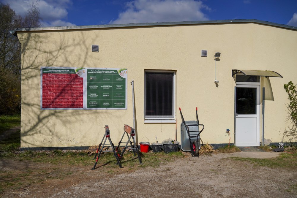 Spornschildkröte Sahel auf einer Baustelle umgeben von Bauequipment im Land der Tiere