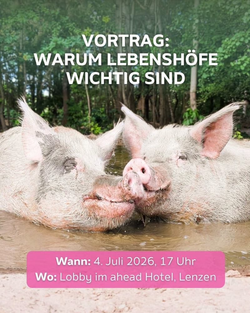 Die Schweine Knut und Helge liegen gemeinsam in der Suhle. Dazu der Text "Vortrag: Warum Lebensjöfe wichtig sind" und "Wann: 4. Juli 2026, 17 Uhr; Wo: Lobby im ahead Hotel, Lenzen"