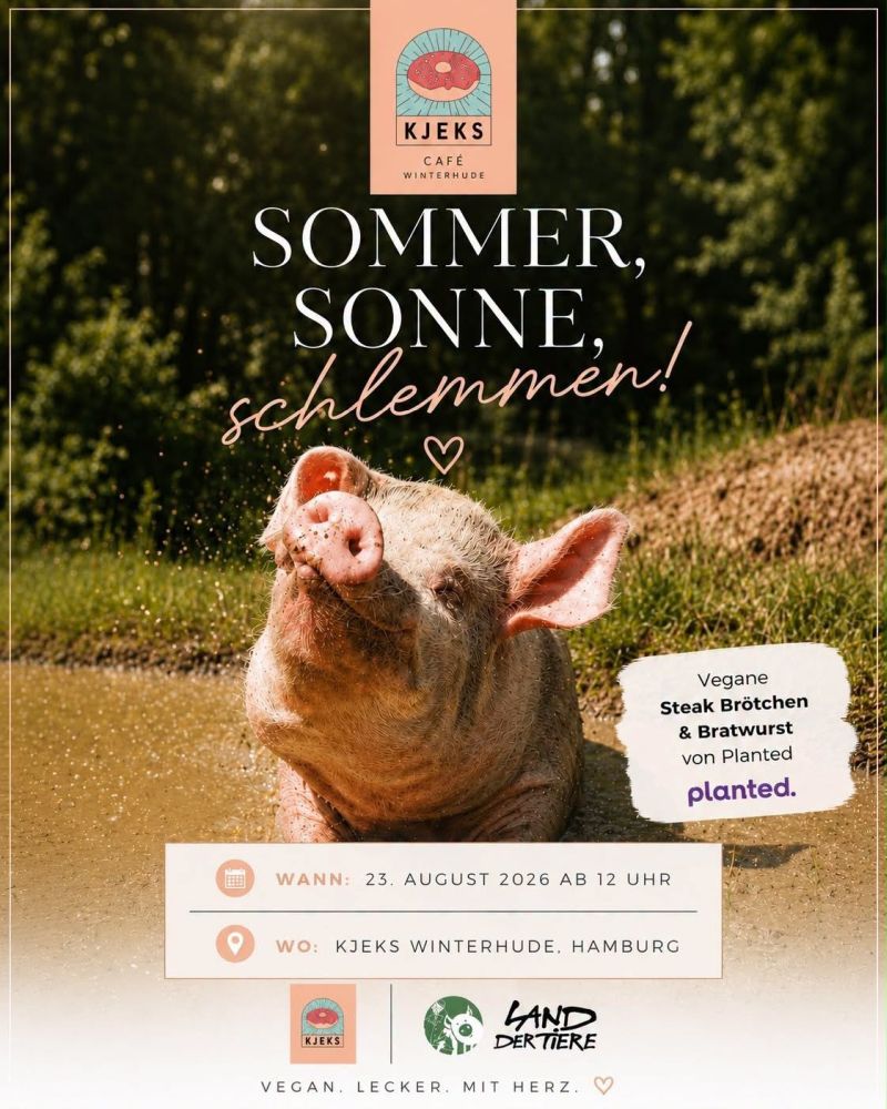 Ein Schwein sitzt in der Suhle im Land der Tiere