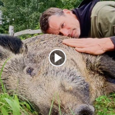 Mensch Jürgen krault Wildschwein Pippa
