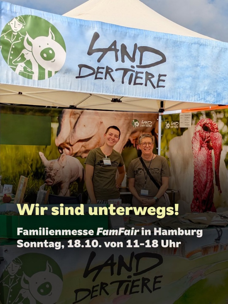 Zwei Menschen an einem Infostand. Dazu der Text "Wir sind unterwegs! Familienmesse FamFair in Hamburg; Sonnntag, 18.10. von 11-18 Uhr"